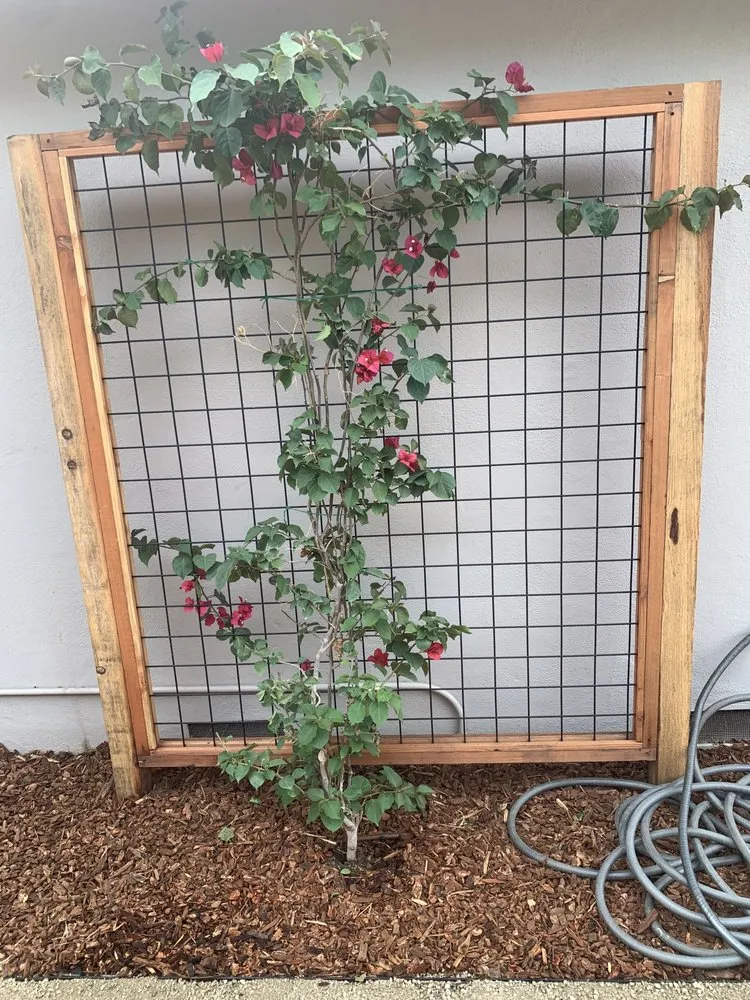 Reliable landscape design for residential properties in Menlo Park, CA by Baez Landscaping