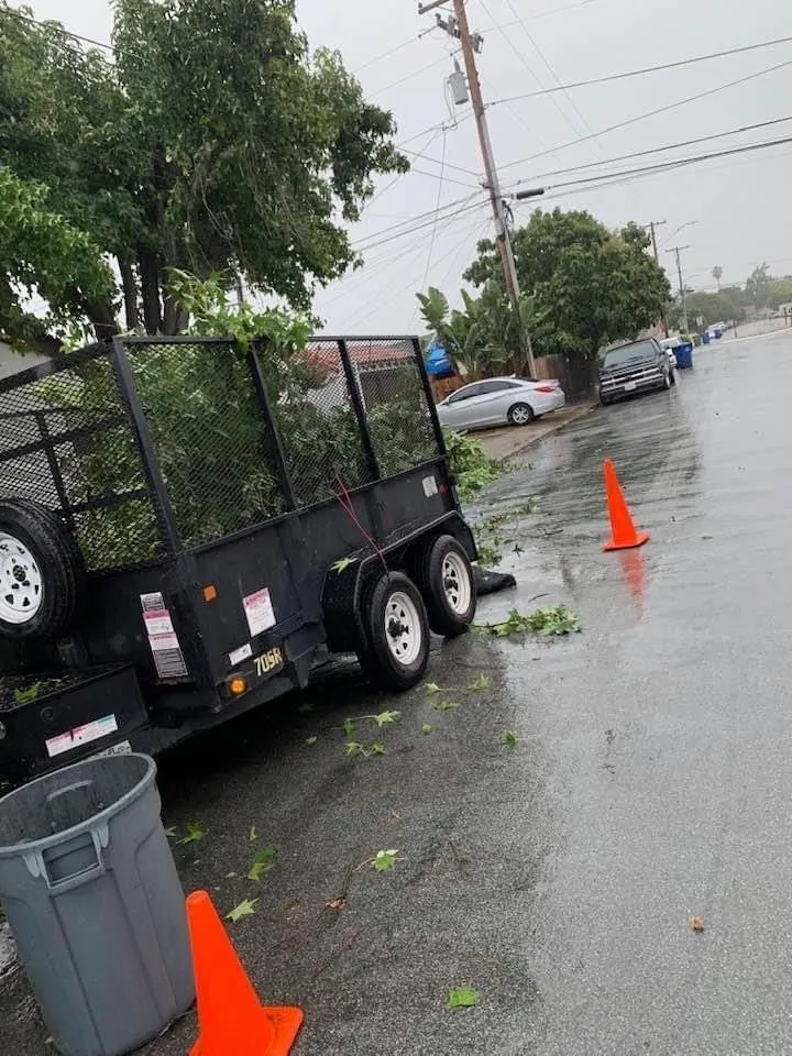 Custom landscape installation in Menlo Park, CA by Baez Landscaping