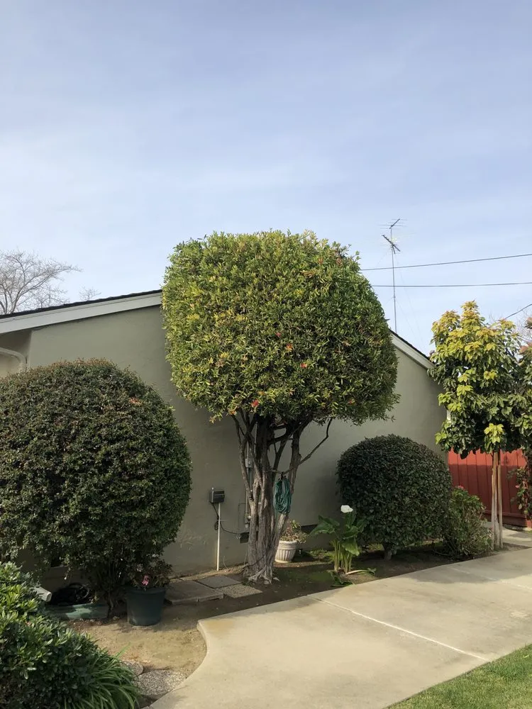 Custom landscape design in Menlo Park, CA by Baez Landscaping