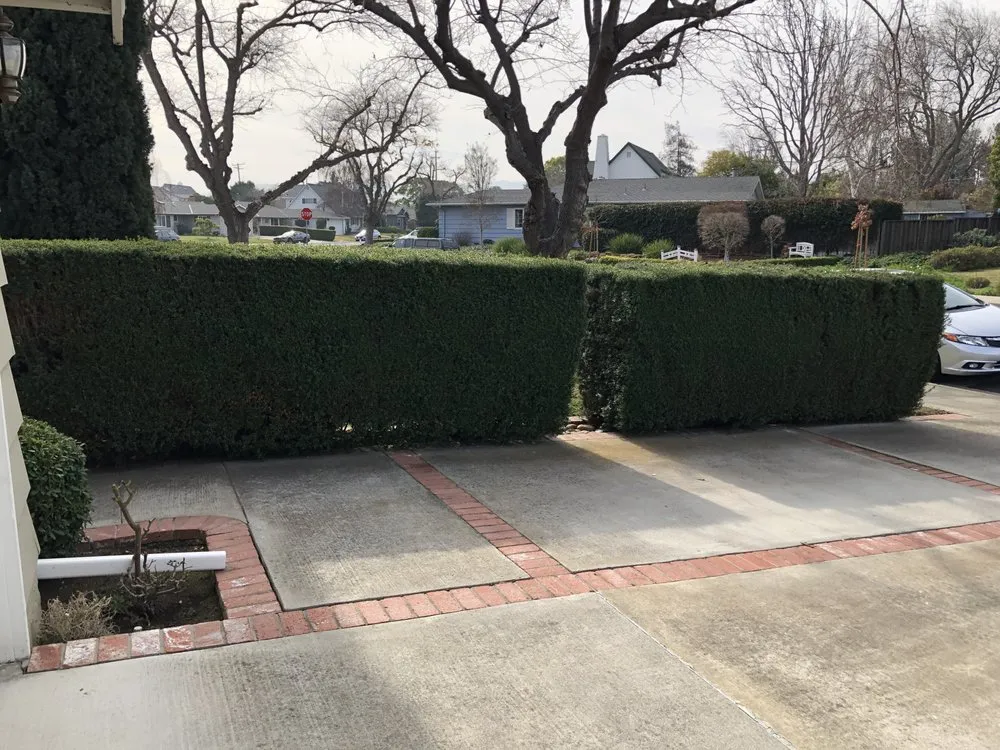 Expert yard maintenance in Menlo Park, CA by Baez Landscaping