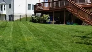 Expert yard maintenance for beautiful yards across Wilmington, DE - Baez Landscaping