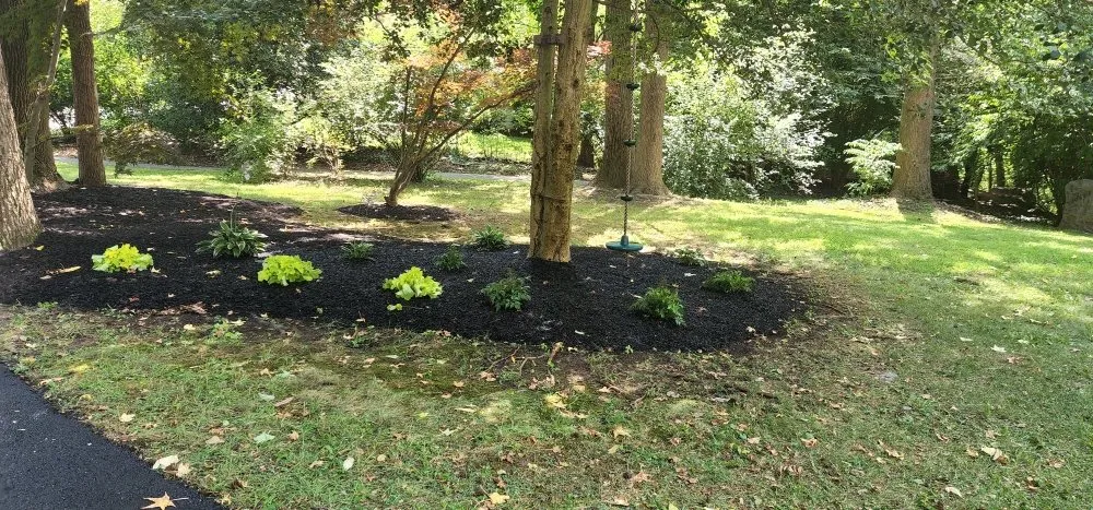 Custom yard maintenance in Wilmington, DE by Baez Landscaping