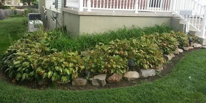 Local yard maintenance in Wilmington, DE by Baez Landscaping