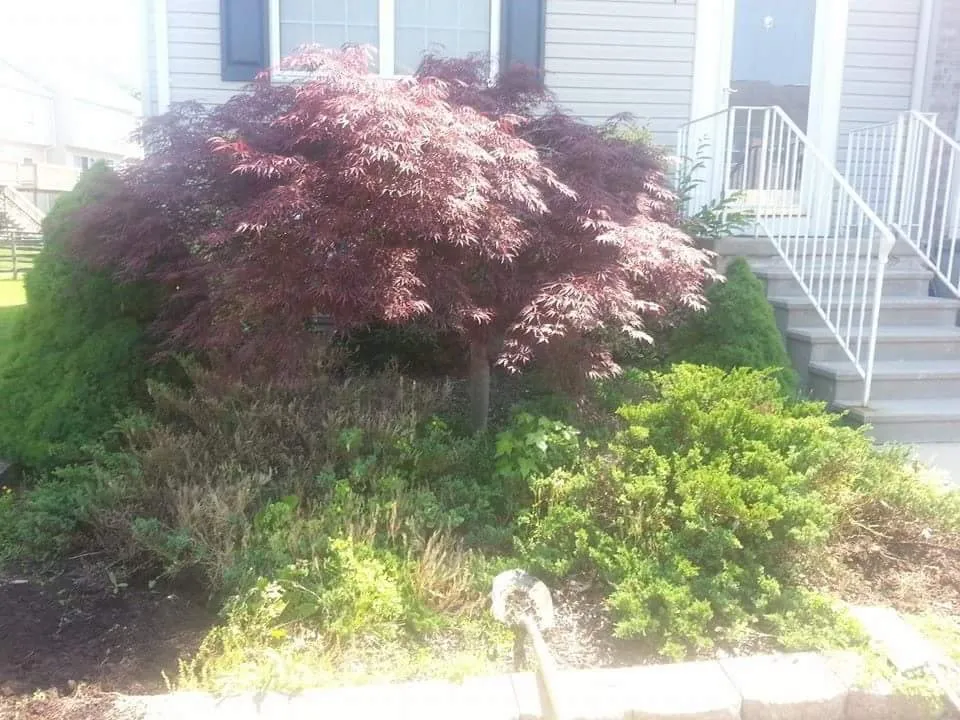 Reliable outdoor landscaping in Wilmington, DE by Baez Landscaping
