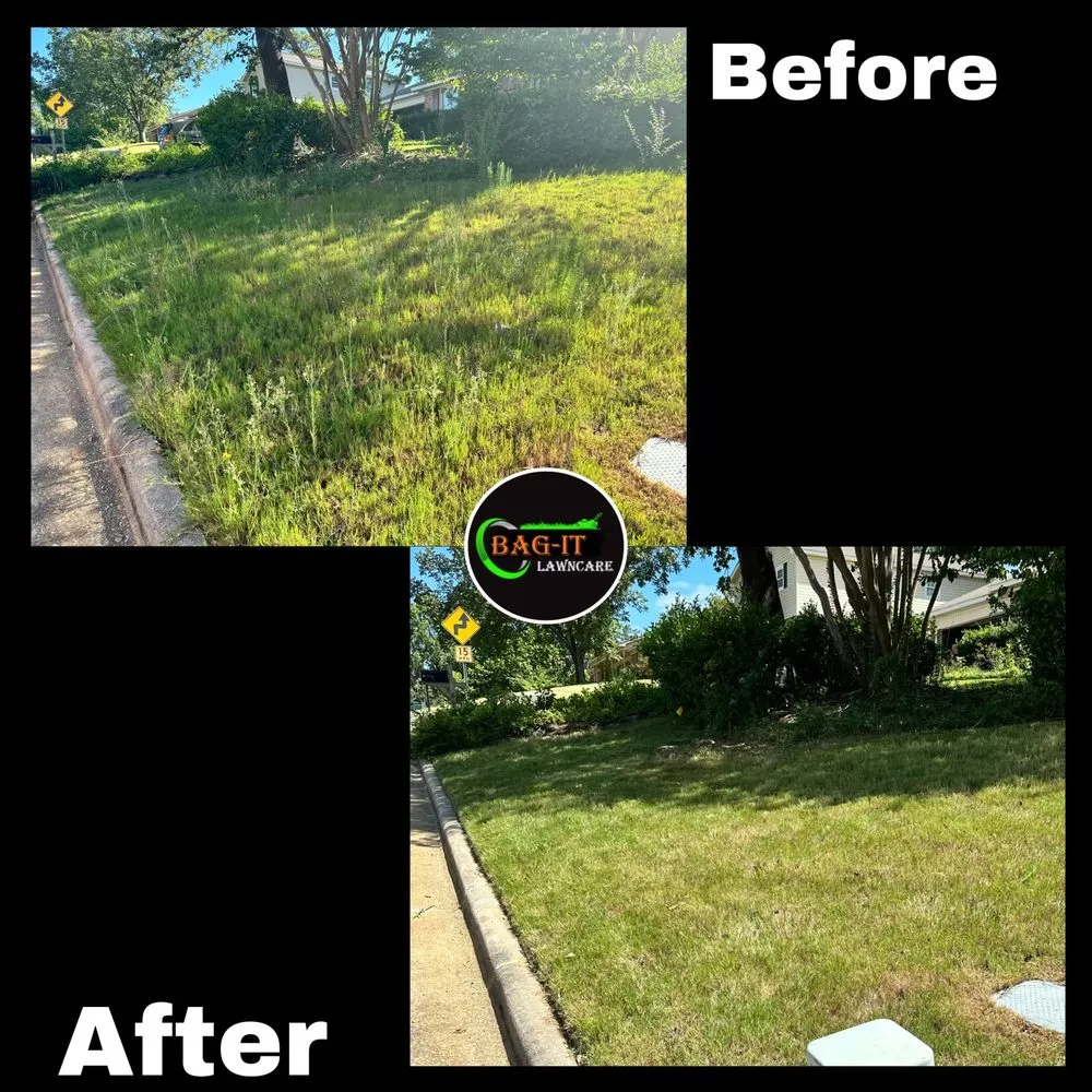 Trusted landscaping services in Ellerslie, GA by BAG-IT Lawn Care