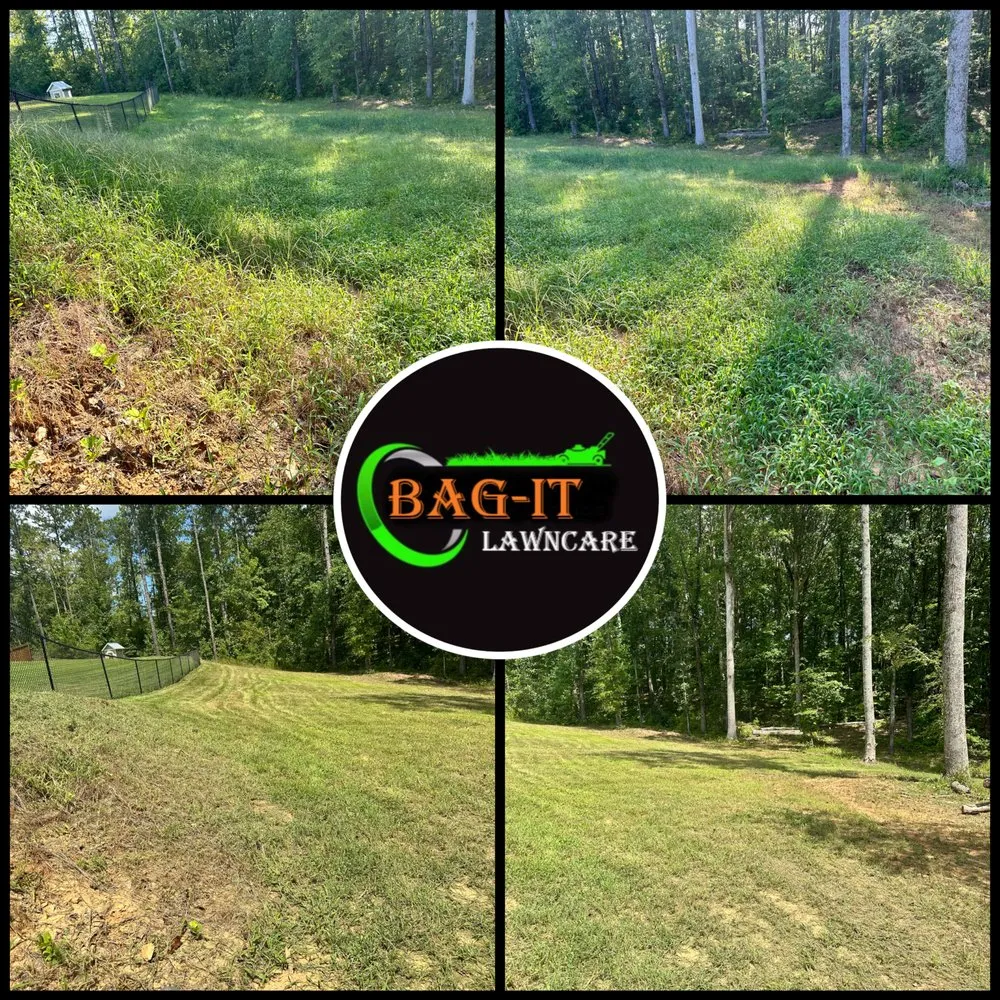 Reliable lawn care service for residential properties in Ellerslie, GA by BAG-IT Lawn Care