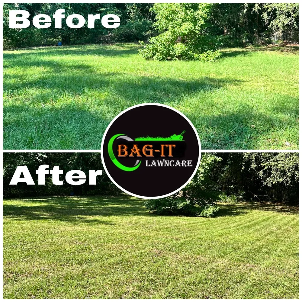 Trusted yard cleanup service experts serving Ellerslie, GA - BAG-IT Lawn Care