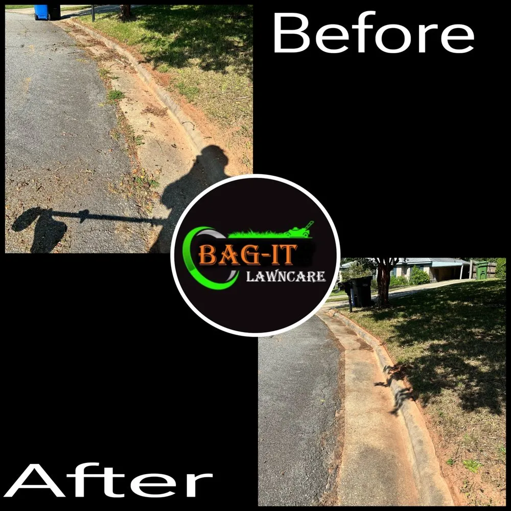 Local lawn care service experts serving Ellerslie, GA - BAG-IT Lawn Care