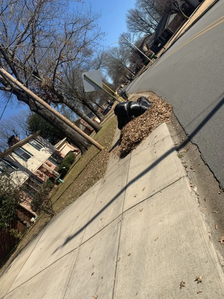 Local landscape installation in Sherwood, AR - Bagged N Tagged