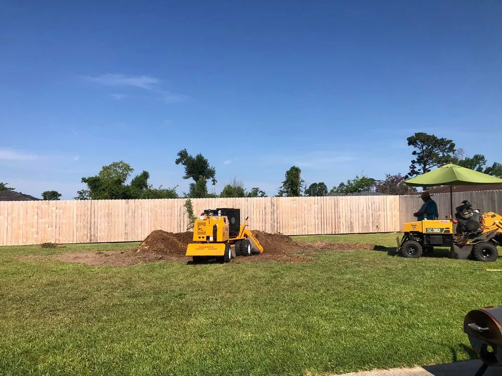 Top-rated landscape design for beautiful yards in Westlake, LA by Bagley Services