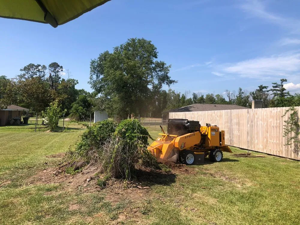 Expert landscape design experts serving Westlake, LA - Bagley Services