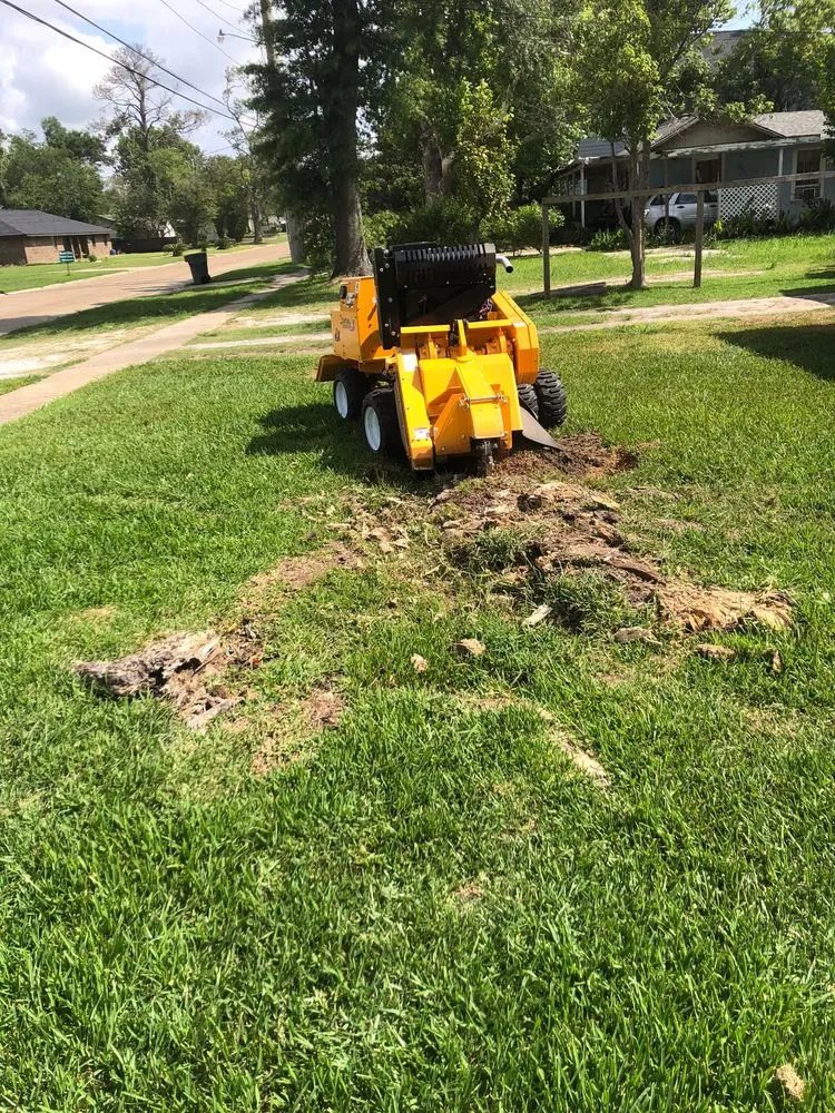 Top-rated lawn care service for homes across Westlake, LA - Bagley Services