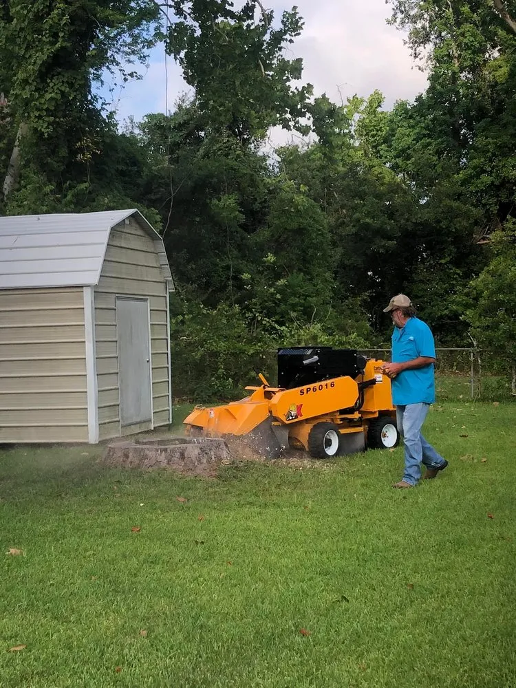 Top-rated landscape design for outdoor upgrades in Westlake, LA by Bagley Services