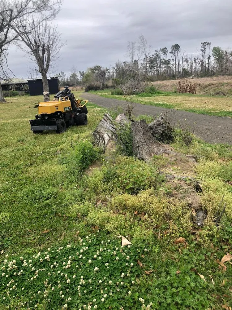 Trusted lawn care service for residential properties across Westlake, LA - Bagley Services