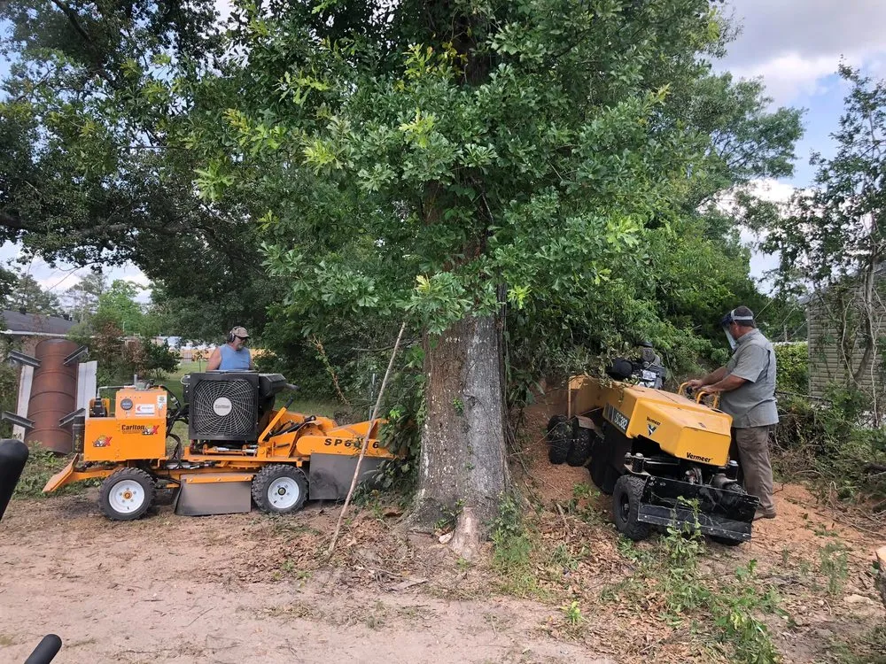 Custom yard maintenance for homes in Westlake, LA by Bagley Services