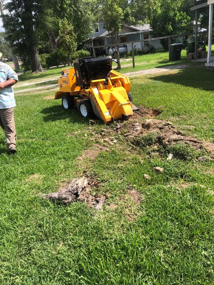 Custom yard cleanup service experts serving Westlake, LA - Bagley Services