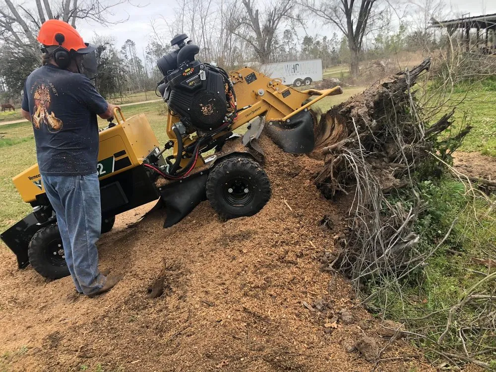 Affordable landscape design in Westlake, LA by Bagley Services