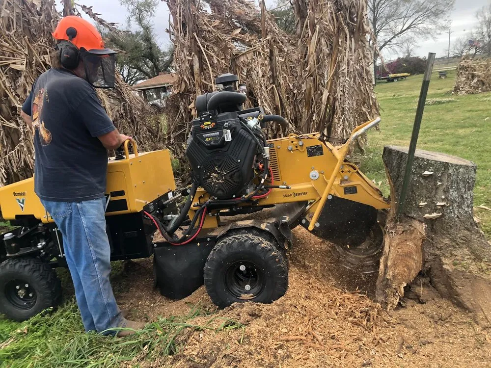 Expert yard cleanup service for beautiful yards in Westlake, LA by Bagley Services