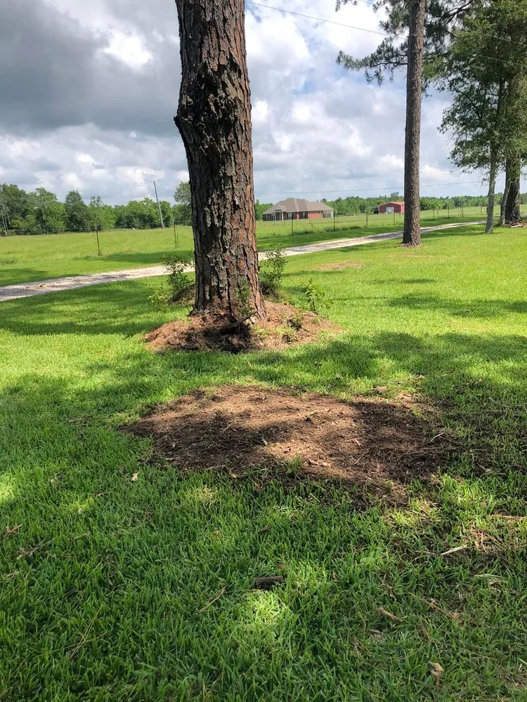 Expert outdoor landscaping in Westlake, LA - Bagley Services