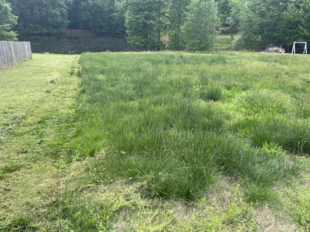 Top-rated landscaping services experts serving Spartanburg, SC - Bagwell & Smith Landscaping