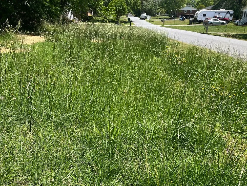 Custom landscape installation for outdoor upgrades across Spartanburg, SC - Bagwell & Smith Landscaping