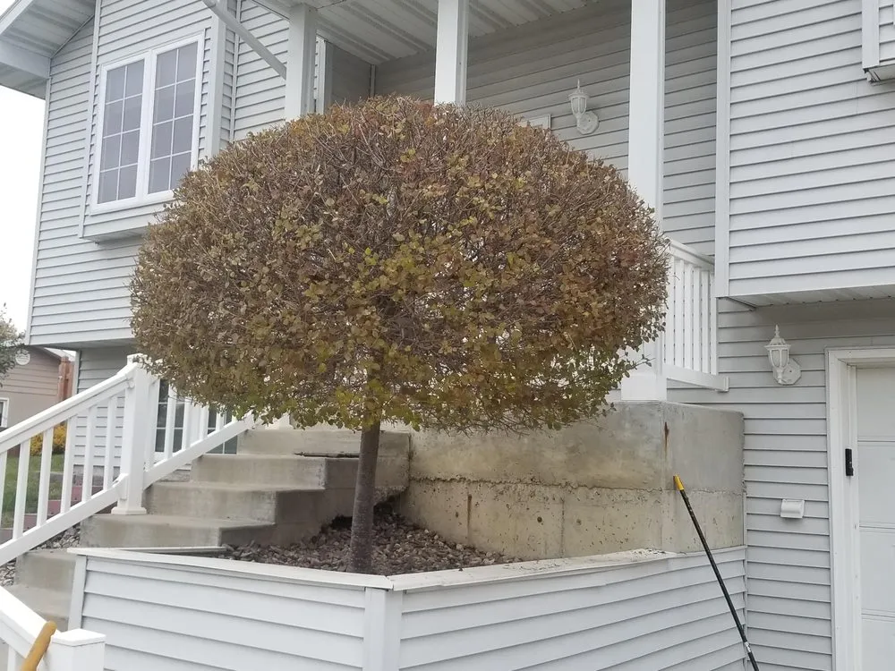 Expert lawn care service for year-round maintenance in Minot, ND by Bagwells Landscaping & Lawn maintenance