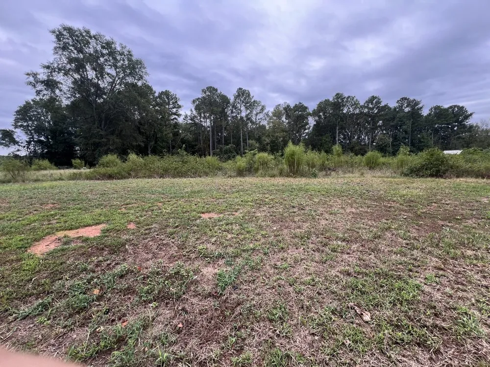 Local garden landscaping for year-round maintenance in Athens, GA by Bahena Landscaping Services