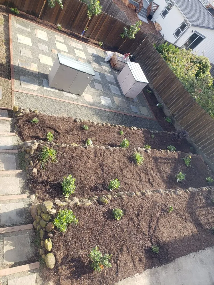 Reliable yard cleanup service for year-round maintenance in MOSS BEACH, CA by Bahena's Services