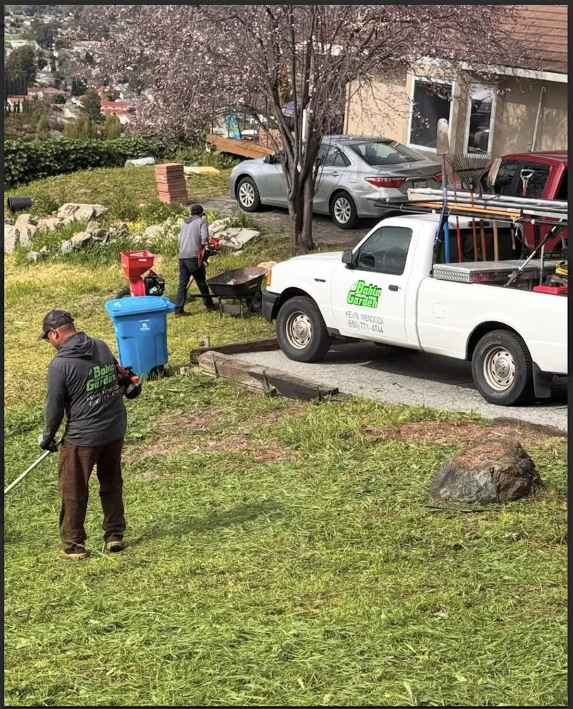 Professional lawn care service experts serving Redwood city, CA - Bahia Garden