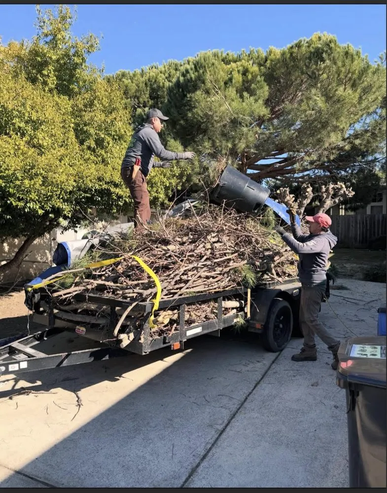 Professional landscape design in Redwood city, CA - Bahia Garden