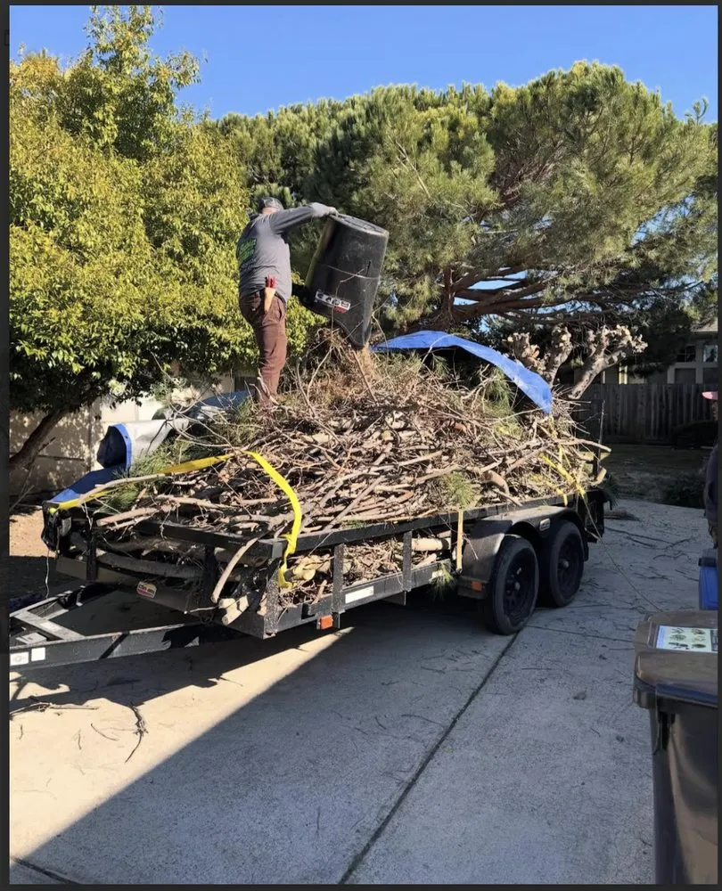 Trusted landscaping services in Redwood city, CA - Bahia Garden