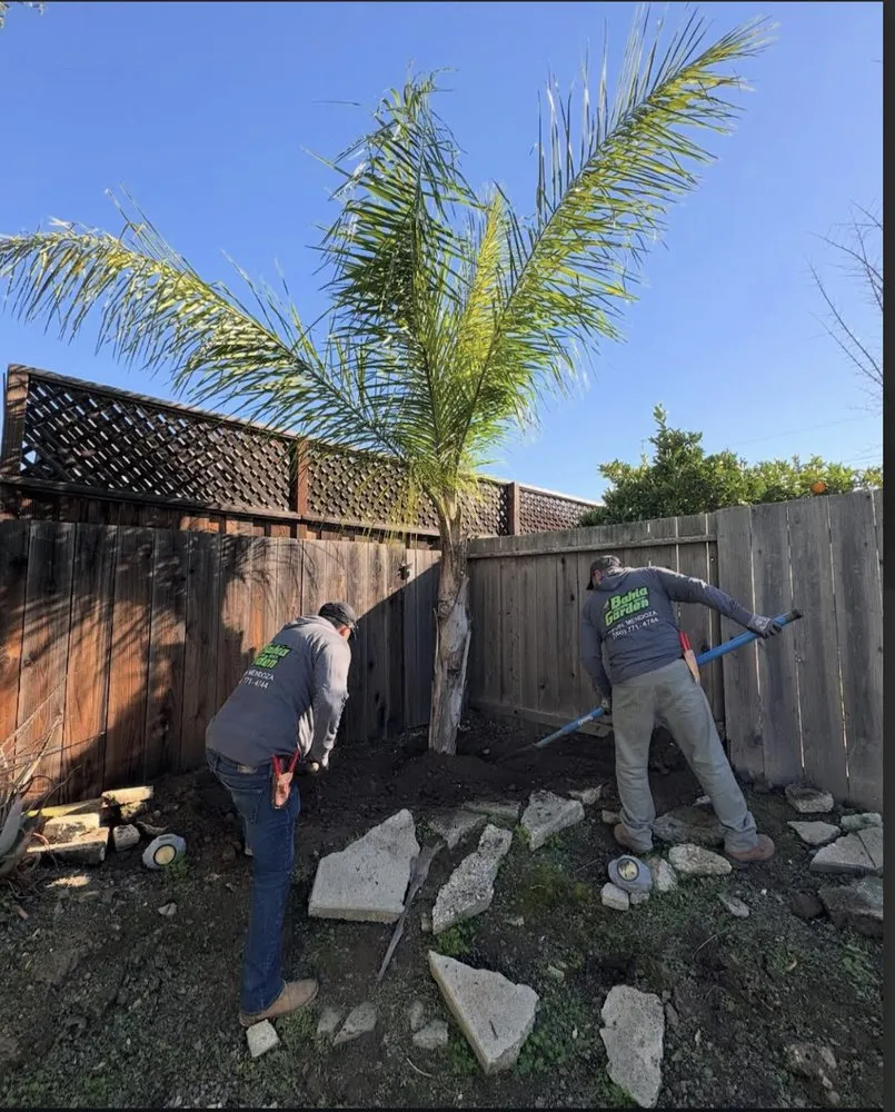 Professional garden landscaping for residential properties in Redwood city, CA by Bahia Garden