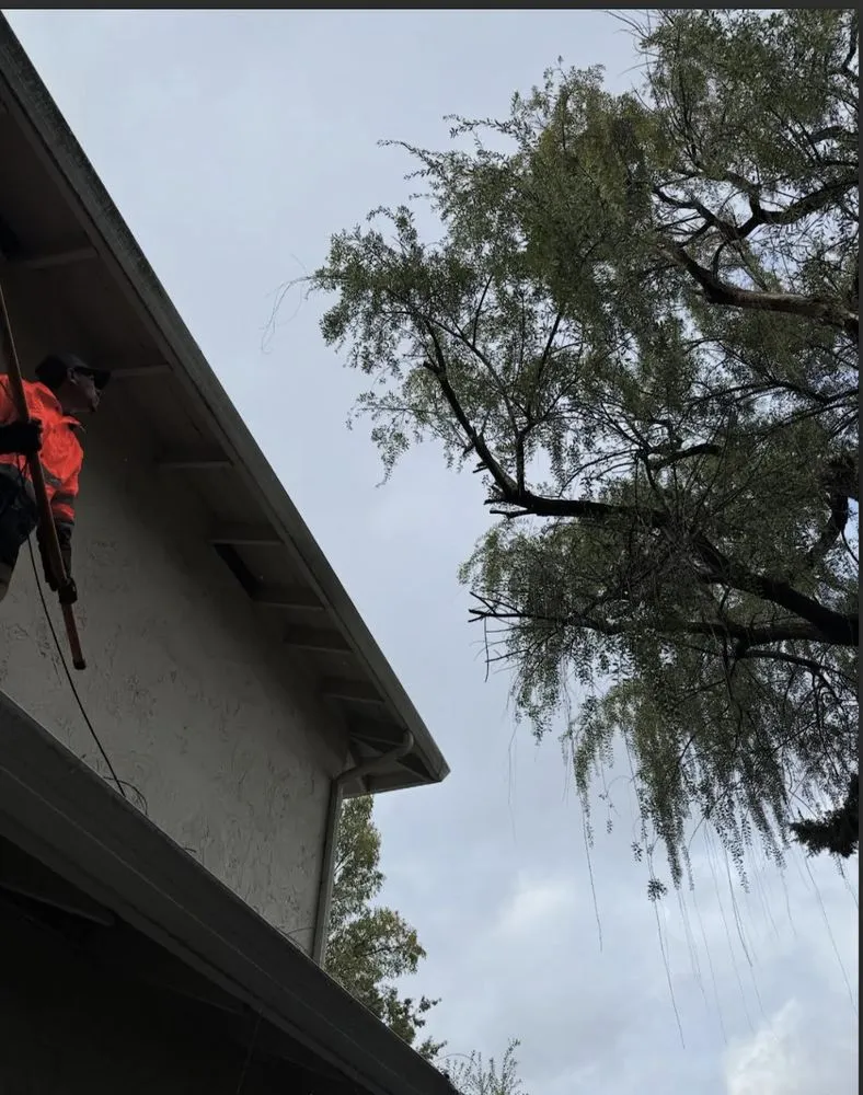 Trusted garden landscaping for residential properties in Redwood city, CA by Bahia Garden