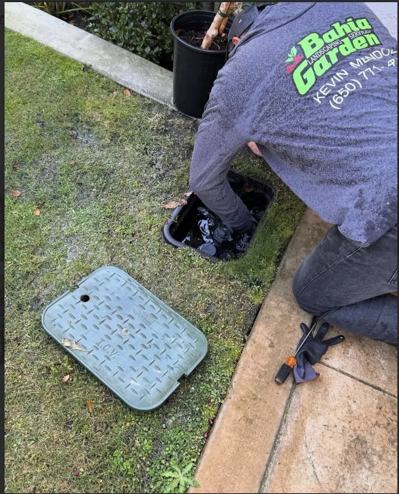 Professional lawn mowing service near you across Redwood city, CA - Bahia Garden