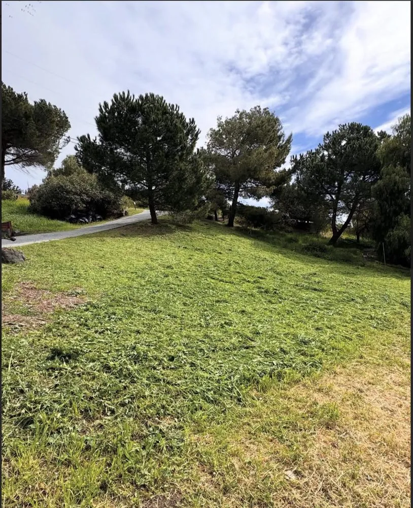 Reliable landscaping services in Redwood city, CA - Bahia Garden