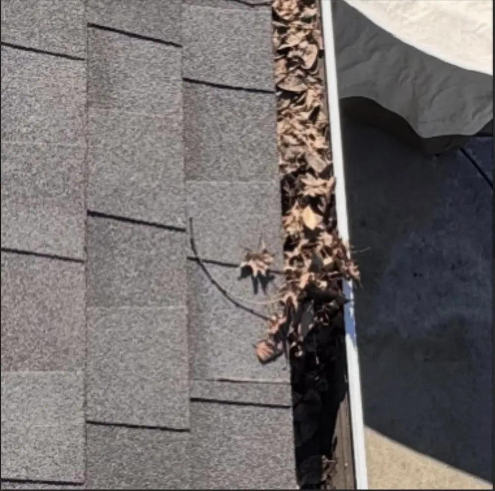 Expert landscape design in Redwood city, CA - Bahia Garden