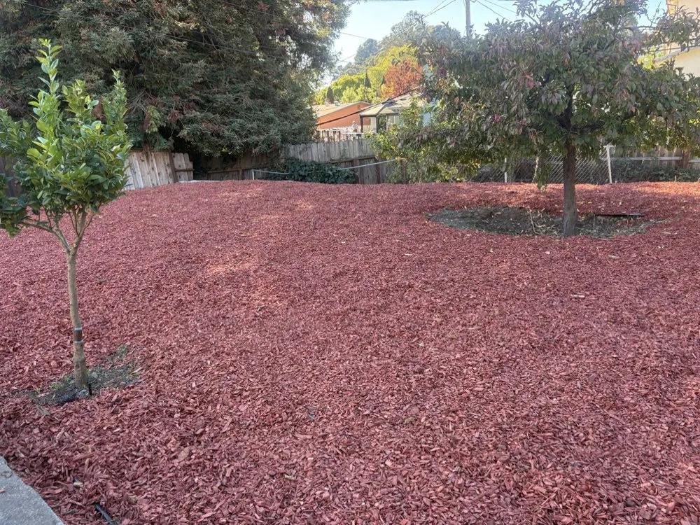 Top-rated outdoor landscaping near you in Redwood city, CA by Bahia Garden