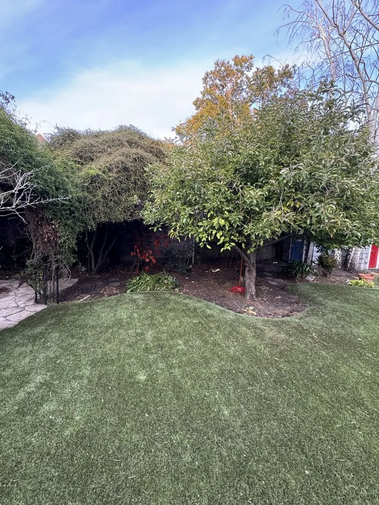 Affordable lawn mowing service for beautiful yards across Redwood city, CA - Bahia Garden