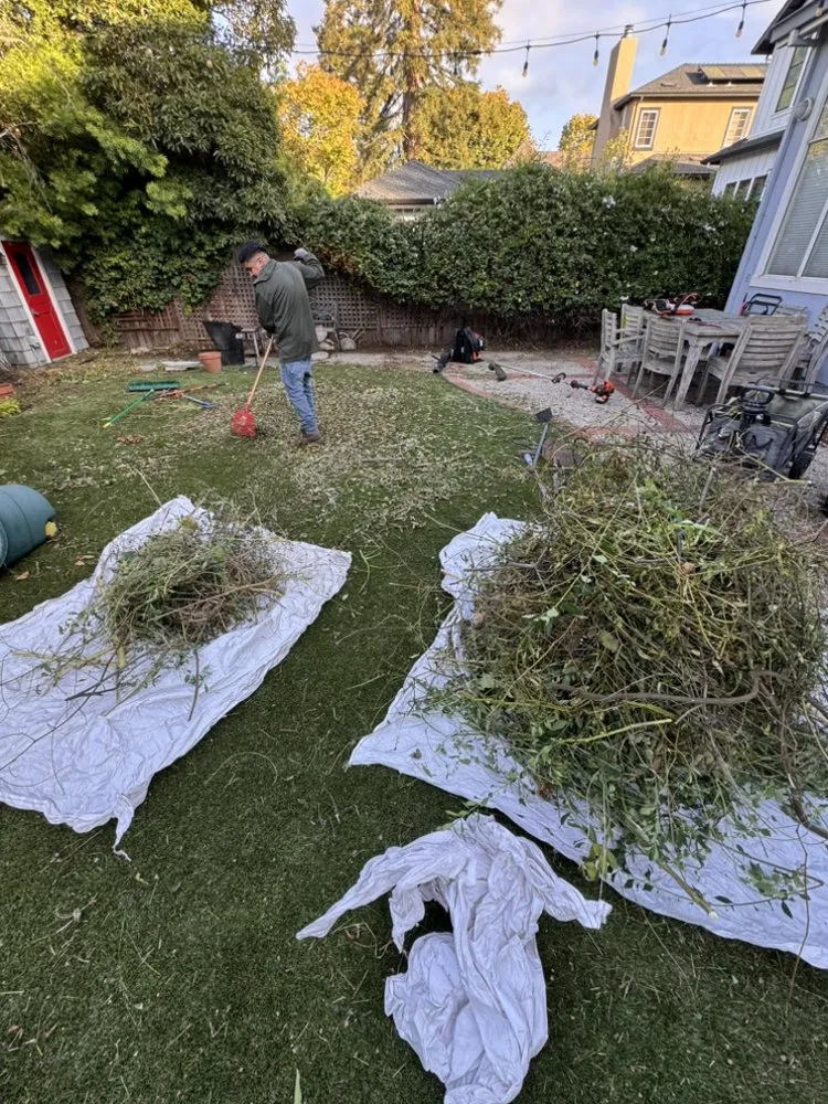 Local garden landscaping in Redwood city, CA - Bahia Garden