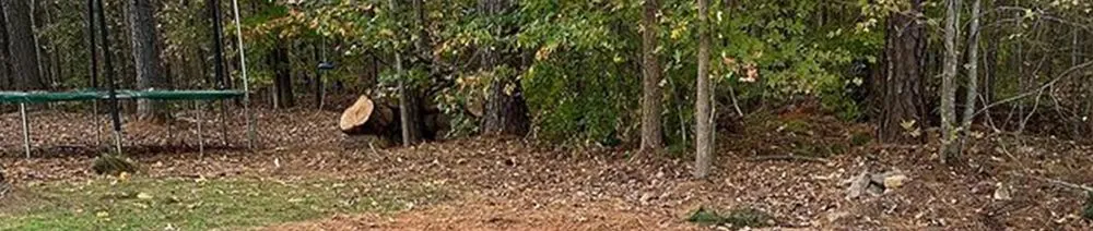 Top-rated yard cleanup service in Waxhaw, NC by Bahnick Landscaping