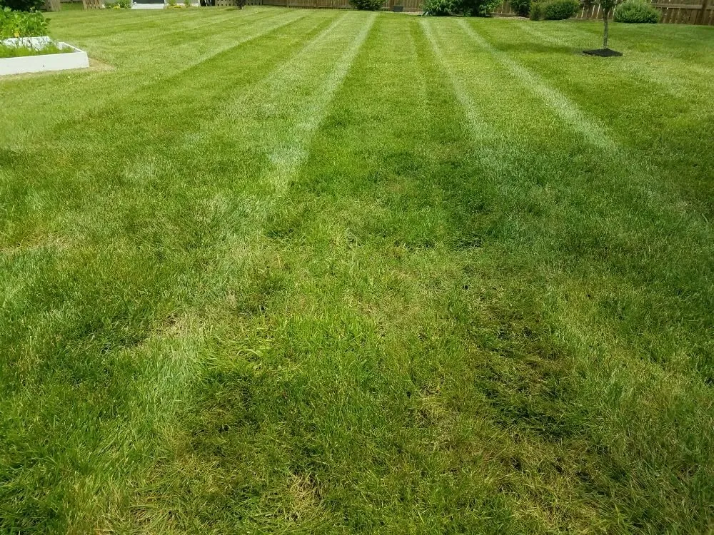 Trusted yard maintenance experts serving Monroe, NC - Bahrs Lawn & Landscaping