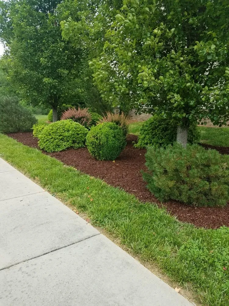 Reliable landscaping services in Monroe, NC - Bahrs Lawn & Landscaping