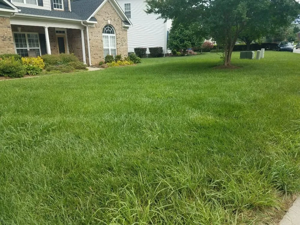 Expert garden landscaping in Monroe, NC by Bahrs Lawn & Landscaping