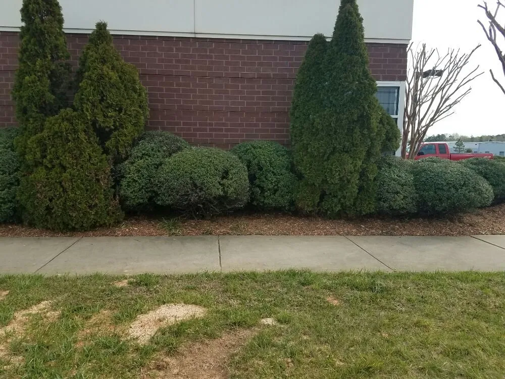 Local garden landscaping for residential properties in Monroe, NC by Bahrs Lawn & Landscaping