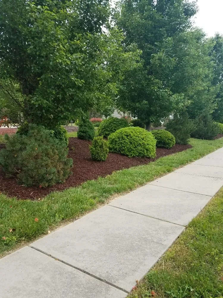 Affordable residential landscaping experts serving Monroe, NC - Bahrs Lawn & Landscaping