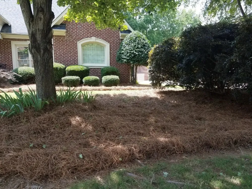 Custom lawn care service experts serving Monroe, NC - Bahrs Lawn & Landscaping