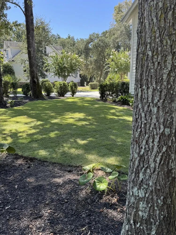 Local landscape installation in Hanahan, SC - Bail Landscape