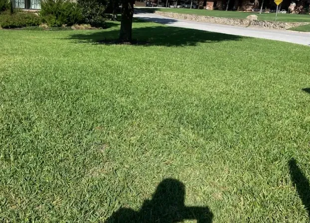 Reliable landscape installation in Hanahan, SC by Bail Landscape