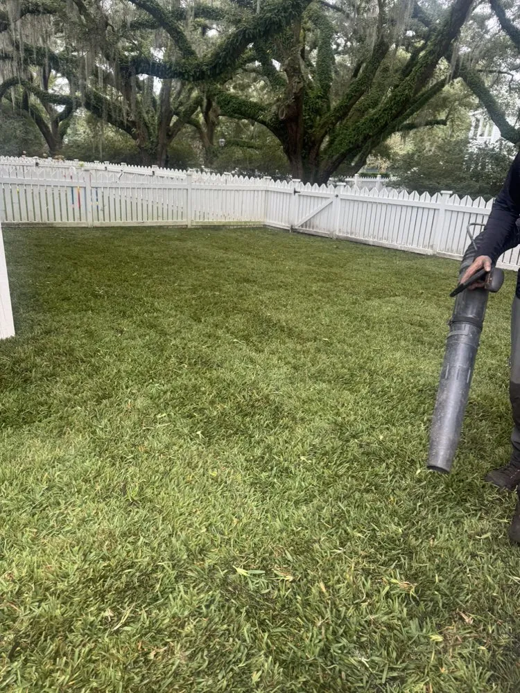 Top-rated landscaping services for homes in Hanahan, SC by Bail Landscape