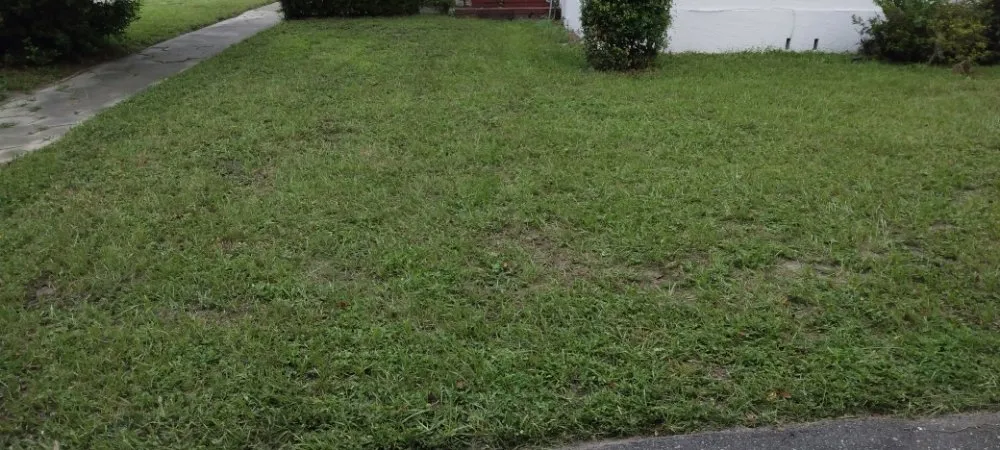 Reliable landscaping services for beautiful yards in Orange Park, FL by Bailey Bro's Lawn Care & Pressure Washing